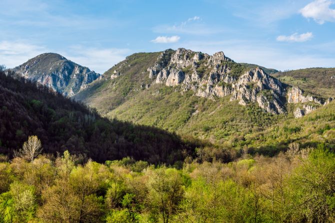 Ruj planina Ruj planina
