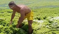 Jedna od omiljenih plaža Srba ovih dana kao Vimbldon: Kupači zabeležili nestvarnu scenu, mnogi osuli paljbu