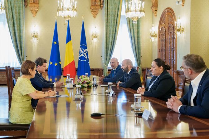Romska fondacija za Evropu i predsednik Rumunije, Nicușor Dan