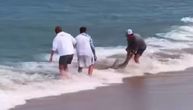 DRAMA NA PLAŽI Pokušao da vrati ajkulu u vodu, pa grdno zažalio: Kupači u šoku posmatrali scenu