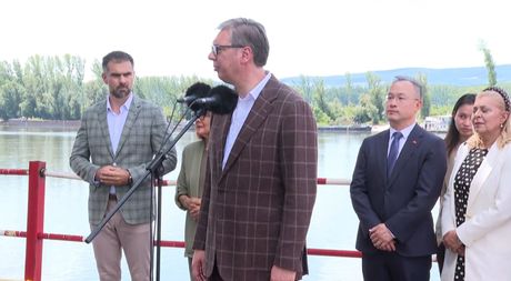 vucic vucic