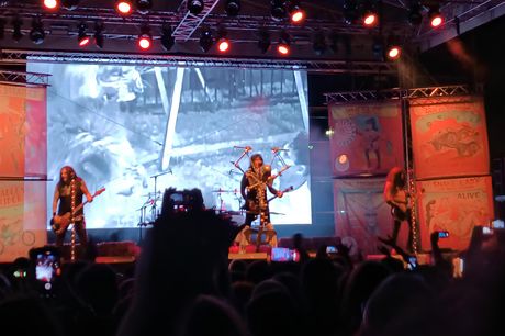 wasp, luka beograd, koncert wasp, luka beograd, koncert