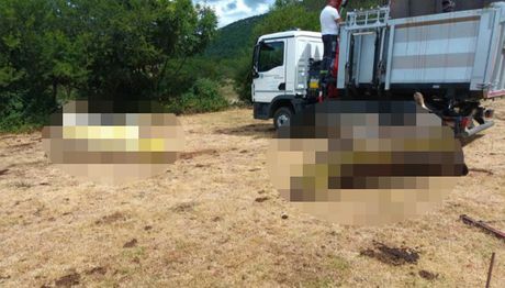 Pomor stoke u Zagori