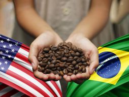 Amerika Brazil kafa