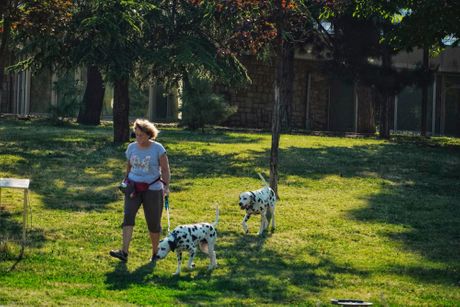 Sunčan dan u Beogradu