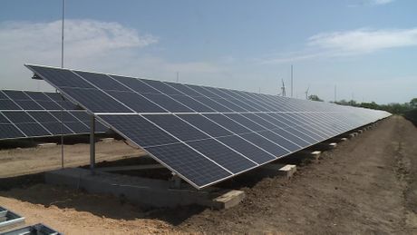Kostolac, solarna elektrana Kostolac, solarna elektrana
