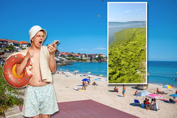 plaža iz bugarske, bugarska, plaza, zabokrecina, alge plaža iz bugarske, bugarska, plaza, zabokrecina, alge