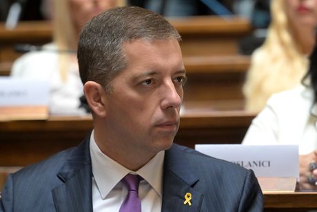 Skupstina Srbije, Beogradski strateski dijalog, Marko Đurić Skupstina Srbije, Beogradski strateski dijalog, Marko Đurić