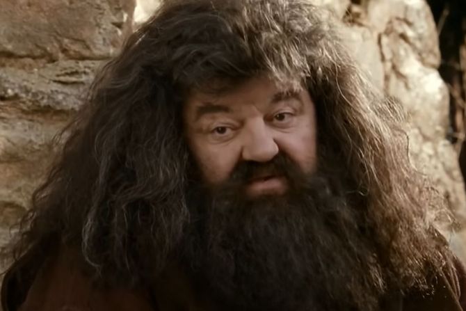 Hagrid Robi Koltrejn Hari Poter