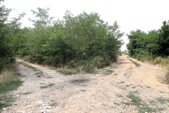 Šuma Vrčin, Izgubio se mladić Šuma Vrčin, Izgubio se mladić