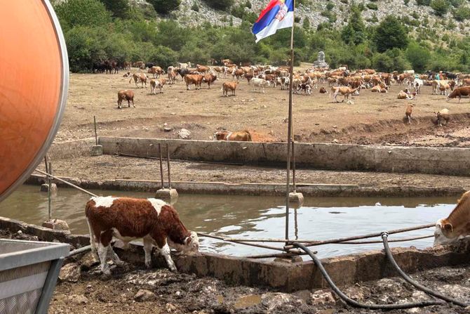 SUVA PLANINA GLAMOČIĆ INTERVENCIJA SUVA PLANINA GLAMOČIĆ INTERVENCIJA