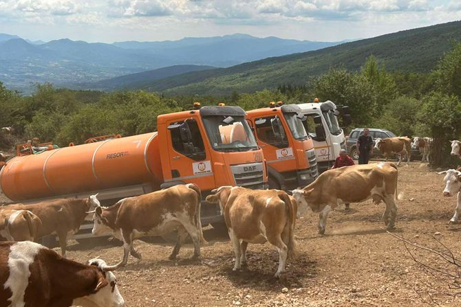 SUVA PLANINA GLAMOČIĆ INTERVENCIJA