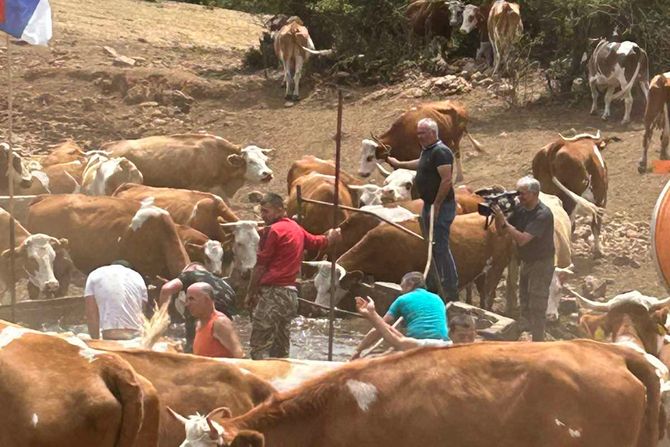 SUVA PLANINA GLAMOČIĆ INTERVENCIJA SUVA PLANINA GLAMOČIĆ INTERVENCIJA