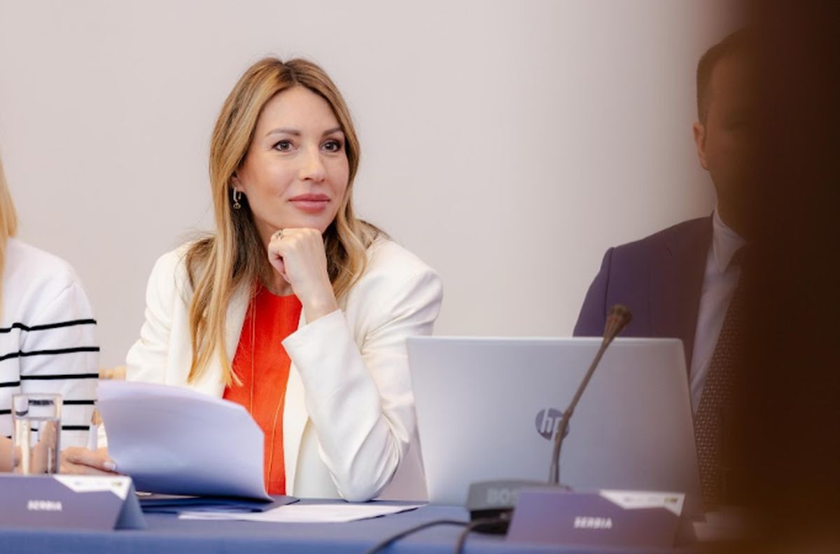 Đedović na sastanku Energetske zajednice u Atini: Srbija ispunila preduslove za spajanje tržišta struje