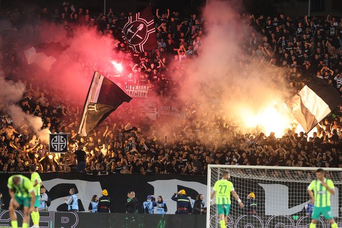 FK Partizan, Ognjen Ugrešić, FK AEK Larnaka, Grobari