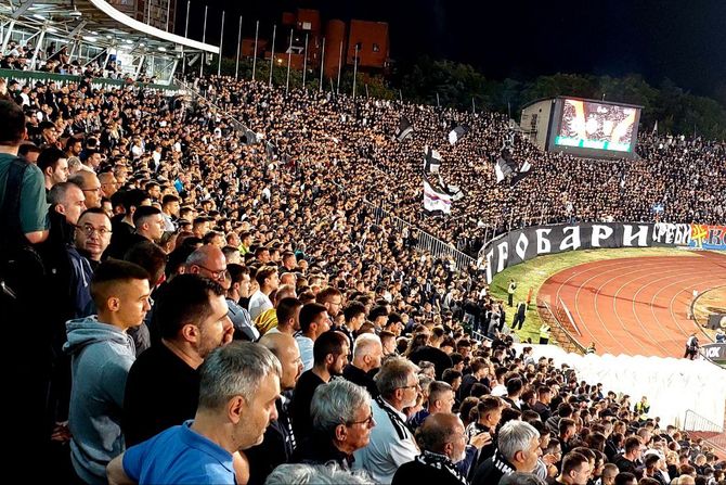 Grobari, FK AEK Larnaka, FK Partizan