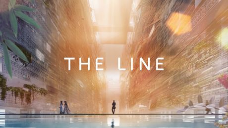 The Line The Line