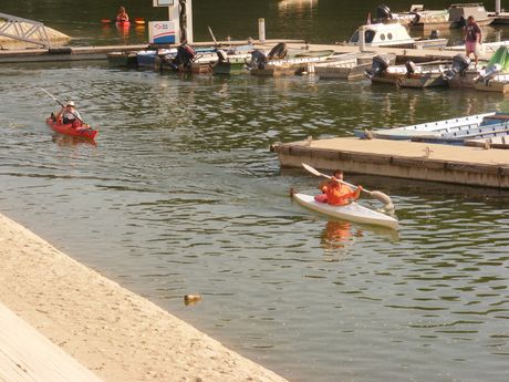 Sajam Dunava na Golupcu i Dunavska internacionalna regata, TID Sajam Dunava na Golupcu i Dunavska internacionalna regata, TID