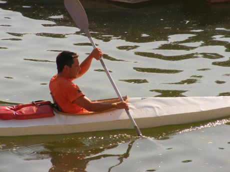 Sajam Dunava na Golupcu i Dunavska internacionalna regata, TID Sajam Dunava na Golupcu i Dunavska internacionalna regata, TID