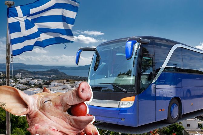 Svinja, autobus, Grčka