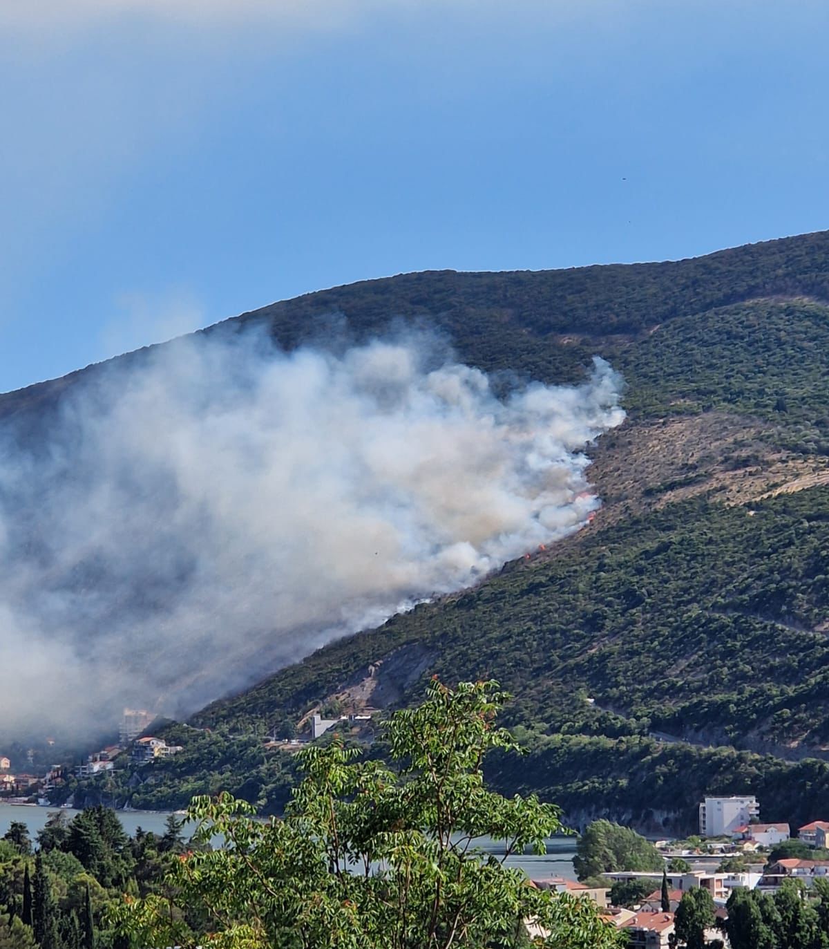 Veliki požar kod Herceg Novog