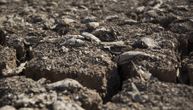 Jezero u Srbiji presušilo nakon pucanja brane: Tužna scena, mrtve ribe leže u blatu, građani užasnuti