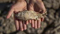 Prava kataklizma: Ovde je bilo jezero, a sad je zemlja suva kao barut
