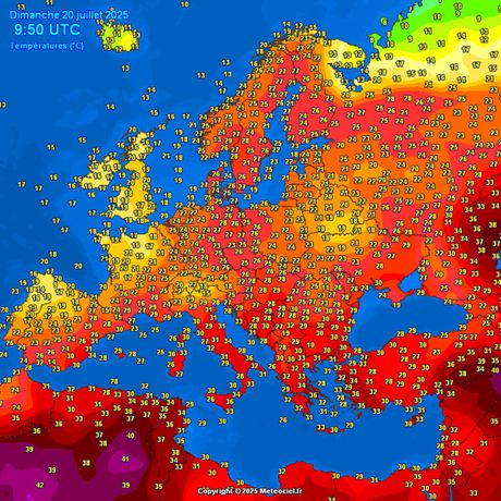 Prognoza Prognoza