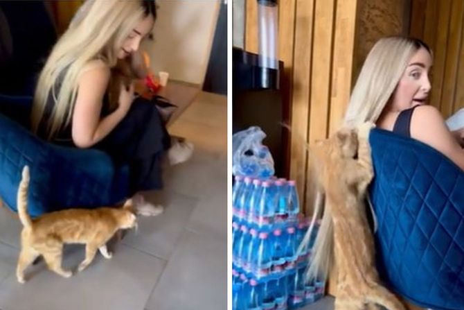 Maja Berović Maja Berović