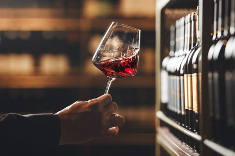 vino vino