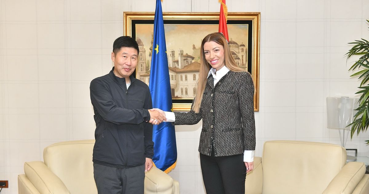 Kineski investitori stigli u Srbiju: Prvi susret sa Mesarović na aerodromu