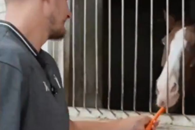 Nikola Jokić Nikola Jokić