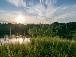 rgotina, rgotsko jezero, jezero, Zaječar, Srbija, putovanja