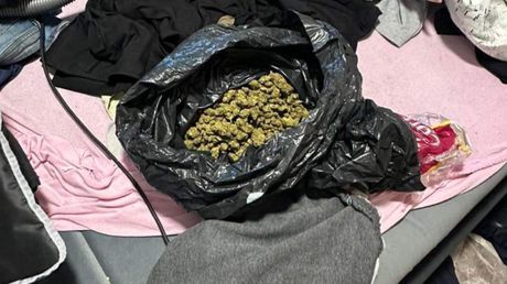 droga novi sad droga novi sad