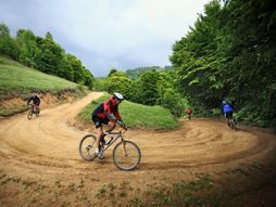 Planina Dukat, Bosilegrad, grad, priroda