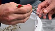 Naučnici upravo rešili misteriju nestanka okeanske plastike: Tek sad smo svi u nevolji, nema nam pomoći