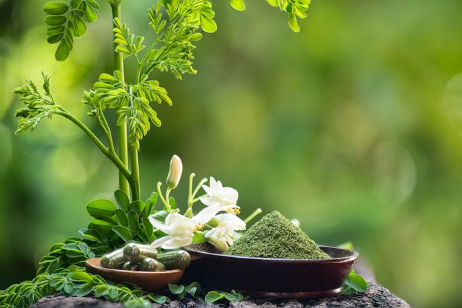 Moringa