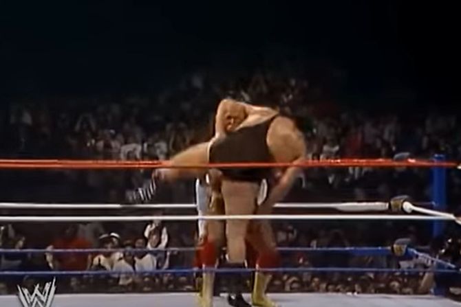 Hulk Hogan