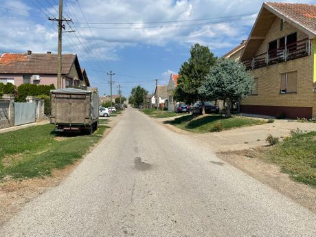 Fruška gora, Neštin, poginula žena, psi Fruška gora, Neštin, poginula žena, psi