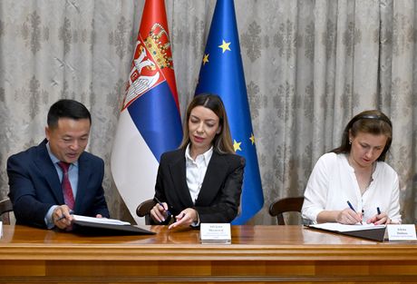 Adrijana Mesarović Adrijana Mesarović