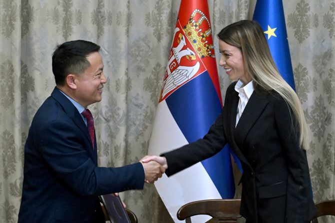 Adrijana Mesarović Adrijana Mesarović