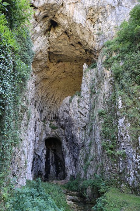 Pećine Pećine