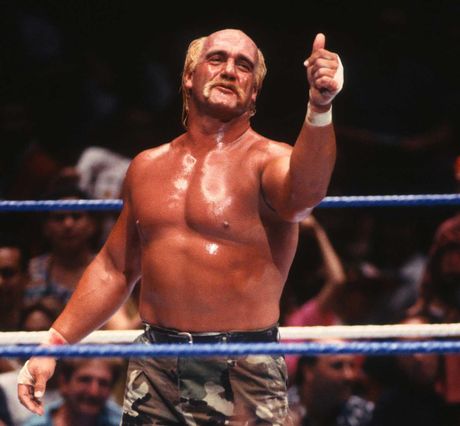 Hulk Hogan Hulk Hogan