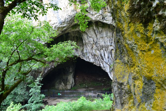 Pećine