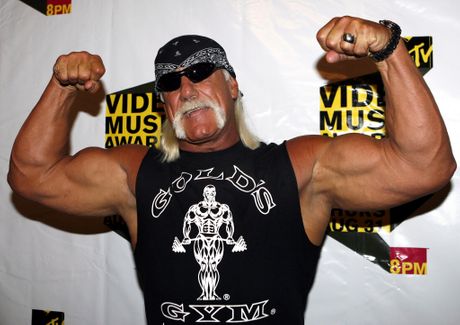 Hulk Hogan Hulk Hogan