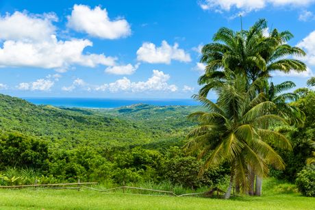 Barbados Barbados