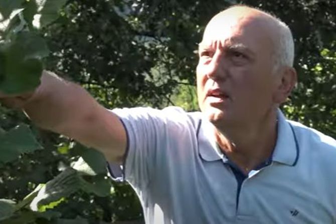 Zoran Ivanjica Zoran Ivanjica