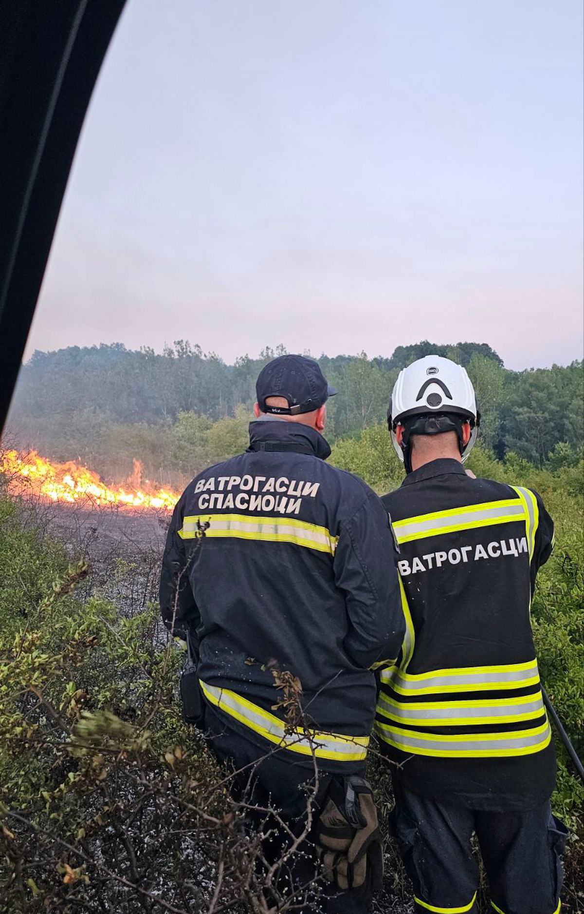 Iz Srbijašuma poslasli HITAN apel građanima: Svi pozvani na odgovornost tokom toplotnog talasa