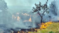 Prva žrtva požara u Srbiji: Stradala jedna osoba, trenutno najkritičnije u Deliblatskoj peščari