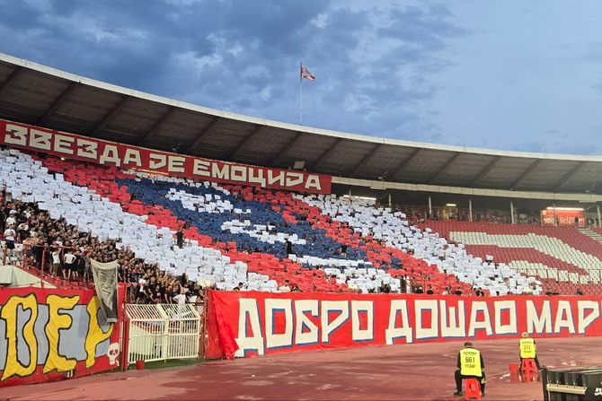 FK Crvena zvezda, Marko Arnautović, Siniša Mihajlović, Delije Sever